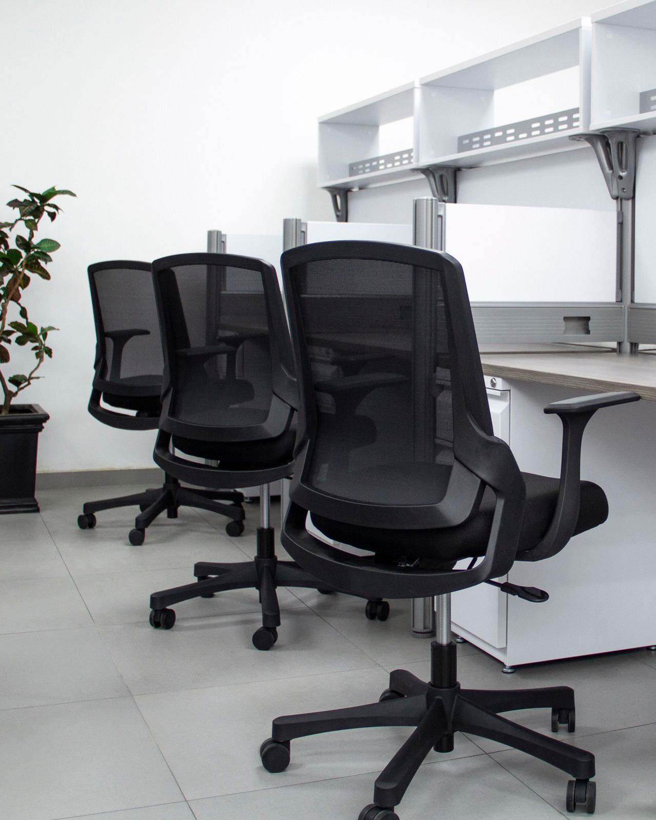 proyectos-buen-fin-6